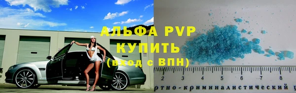 прущие грибы Осинники