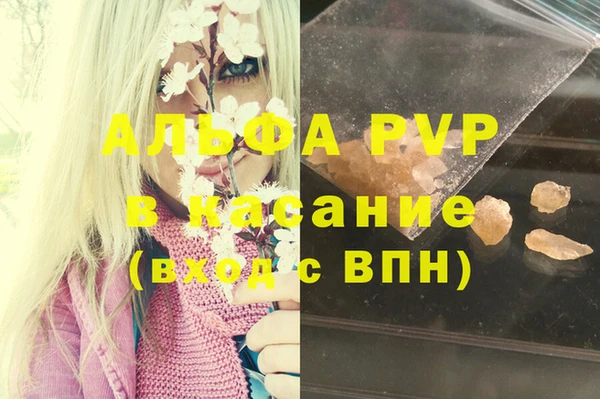 прущие грибы Осинники