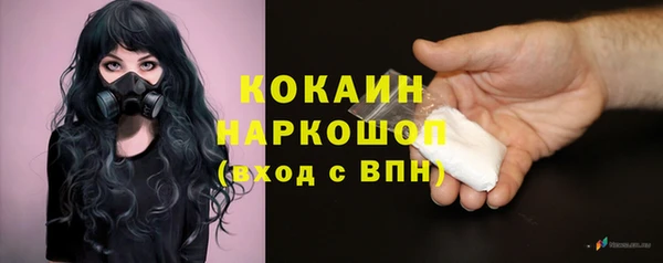 прущие грибы Осинники